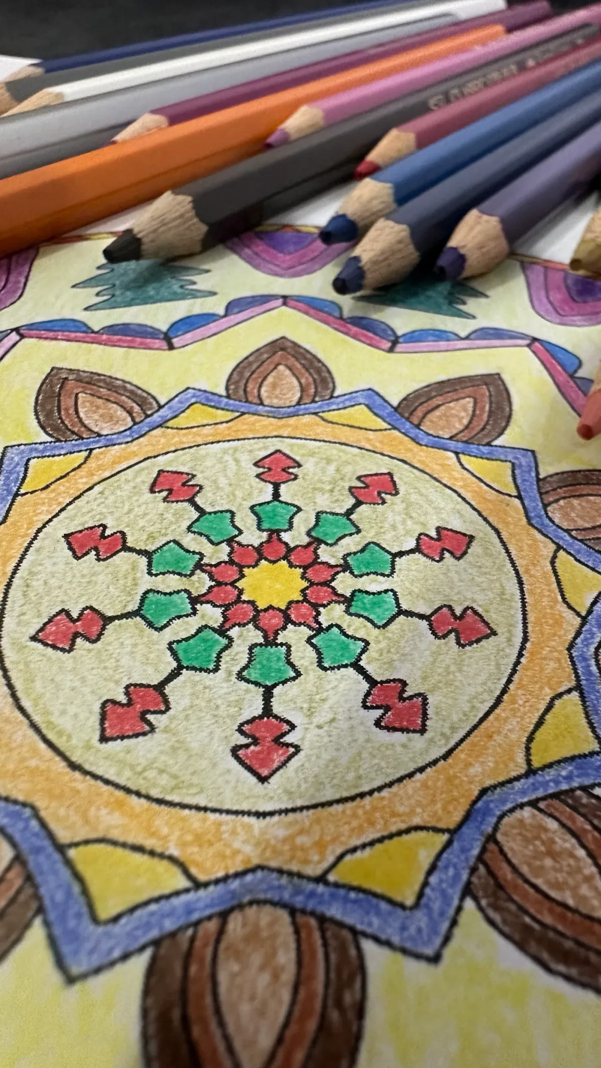 سارا میکشد. شما رنگ میکنید.